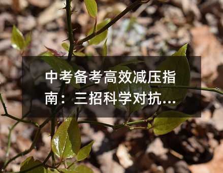 中考备考高效减压指南:三招科学对抗疲劳