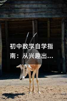 初中数学自学指南:从兴趣出发,让知识变得生动有趣