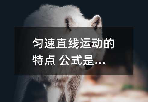 匀速直线运动的特点 公式是什么