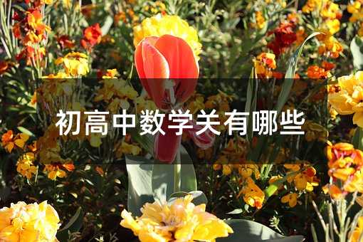 初高中数学关有哪些