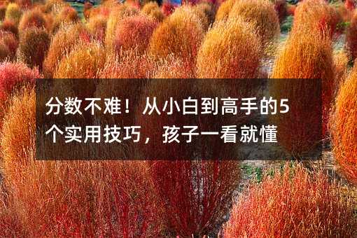 分数不难!从小白到高手的5个实用技巧,孩子一看就懂