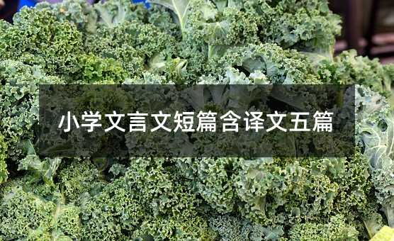 小学文言文短篇含译文五篇