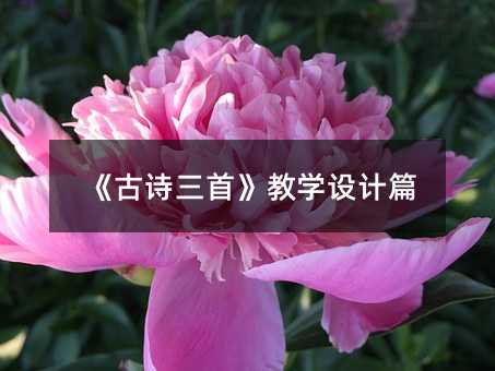 《古诗三首》教学设计篇