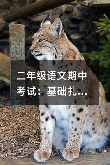 二年级语文期中考试:基础扎实,阅读提升有门道