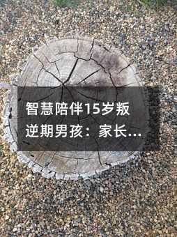 智慧陪伴15岁叛逆期男孩:家长实用成长指南