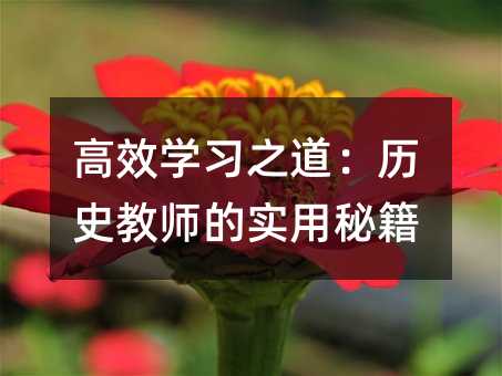 高效学习之道:历史教师的实用秘籍