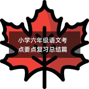 小学六年级语文考点要点复习总结篇