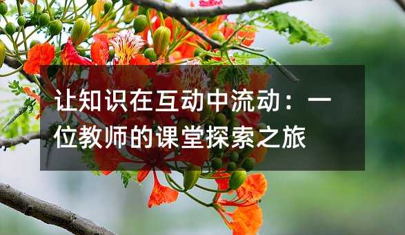 让知识在互动中流动:一位教师的课堂探索之旅