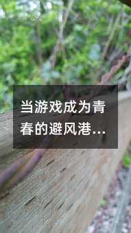 当游戏成为青春的避风港:一位父亲的救赎之路