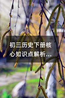 初三历史下册核心知识点解析:从战后复兴到民族独立浪潮