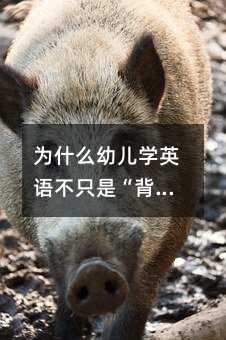 为什么幼儿学英语不只是“背单词”?这些你可能没想过的益处才真正影响孩子一生