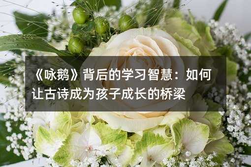 ӽ졷ѧϰǻۣùʫΪӳɳ