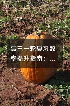 һָϰЧָϣѧ