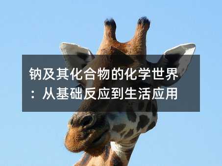 钠及其化合物的化学世界:从基础反应到生活应用