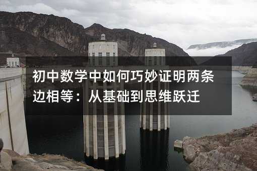 ѧ֤ȣӻ˼άԾǨ