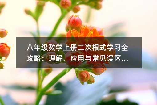 꼶ѧϲθʽѧϰȫԣ⡢Ӧ볣