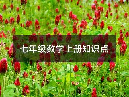 七年级数学上册知识点