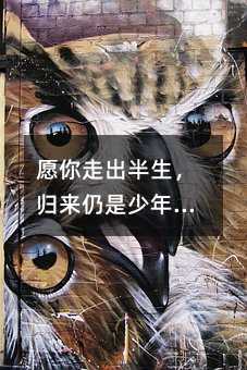 愿你走出半生,归来仍是少年——一位初二女生写给自己的信为何打动了无数人