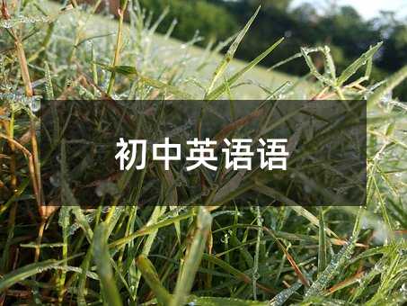 初中英语语
