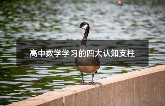高中数学学习的四大认知支柱