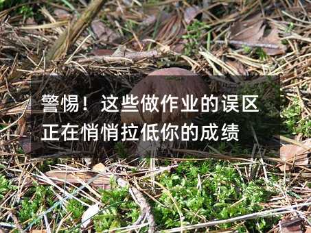 警惕!这些做作业的误区正在悄悄拉低你的成绩
