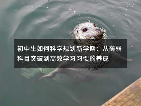 初中生如何科学规划新学期:从薄弱科目突破到高效学习习惯的养成