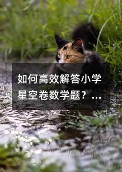 如何高效解答小学星空卷数学题?分步技巧解析