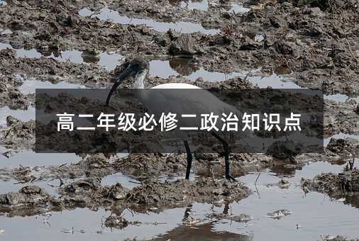 高二年级必修二政治知识点