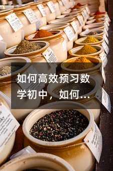 如何高效预习数学初中,如何高效预习数学初中?