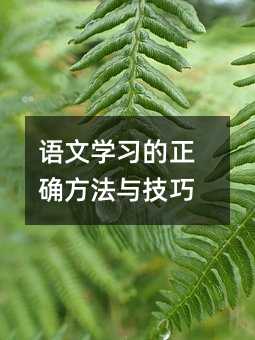 语文学习的正确方法与技巧