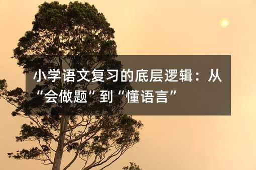 小学语文复习的底层逻辑:从“会做题”到“懂语言”