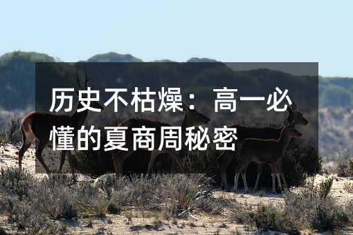 历史不枯燥:高一必懂的夏商周秘密