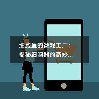细胞里的微观工厂:揭秘细胞器的奇妙分工