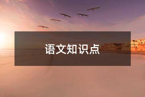 语文知识点