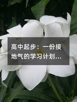 高中起步:一份接地气的学习计划,助你轻松搞定各科挑战