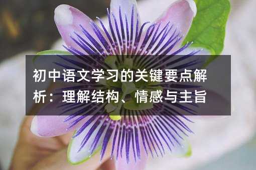 初中语文学习的关键要点解析:理解结构、情感与主旨
