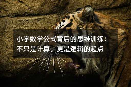 小学数学公式背后的思维训练:不只是计算,更是逻辑的起点