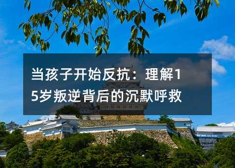 当孩子开始反抗:理解15岁叛逆背后的沉默呼救