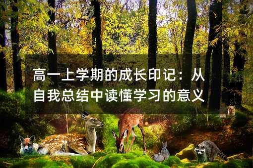 高一上学期的成长印记:从自我总结中读懂学习的意义