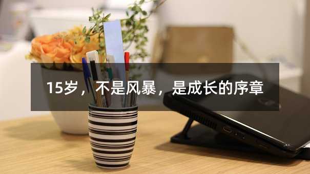 15岁,不是风暴,是成长的序章