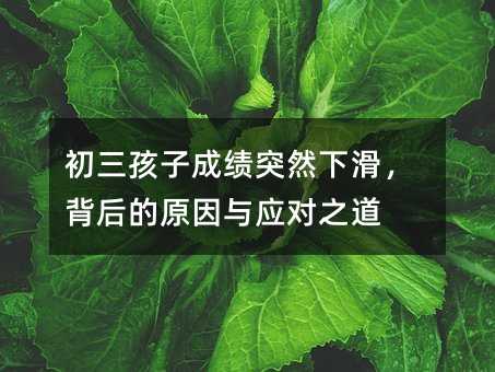 初三孩子成绩突然下滑,背后的原因与应对之道