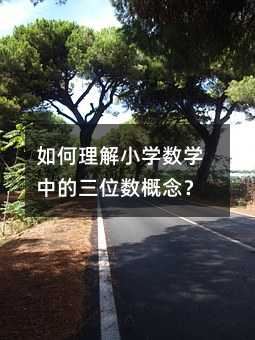 如何理解小学数学中的三位数概念?