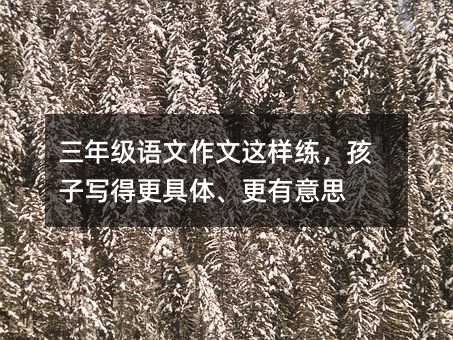 꼶дø塢˼