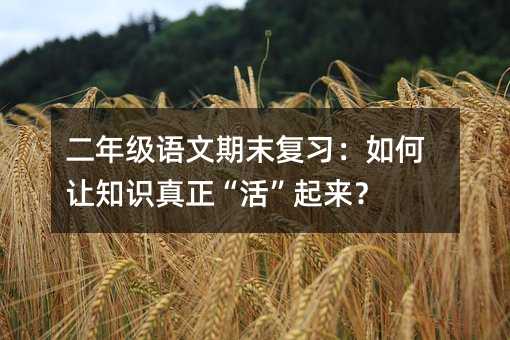 二年级语文期末复习:如何让知识真正“活”起来?