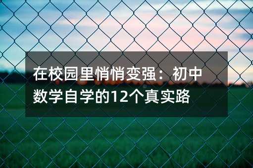 在校园里悄悄变强:初中数学自学的12个真实路径