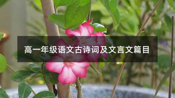 高一年级语文古诗词及文言文篇目