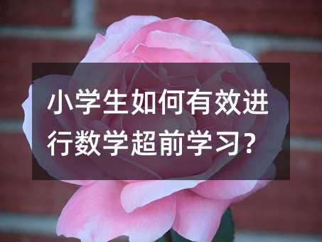 小学生如何有效进行数学超前学习?