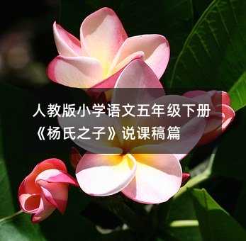 人教版小学语文五年级下册《杨氏之子》说课稿篇