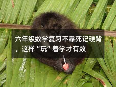 꼶ѧϰӲ桱ѧЧ