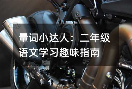 量词小达人:二年级语文学习趣味指南
